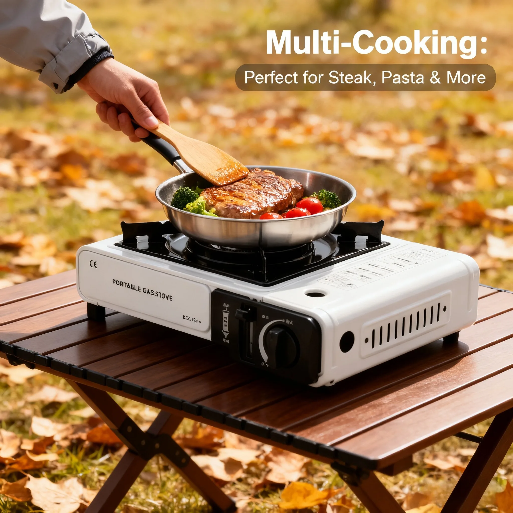 Portable outdoor gas stove, su - Home Cooking Gas ulasan dan harga