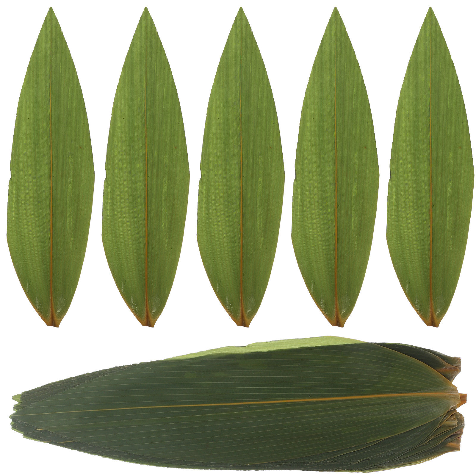 100pcs Sushi Bamboo Leaves Sas - Sushi Mat Bamboo ulasan dan harga